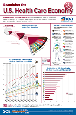 Health Care Infographic